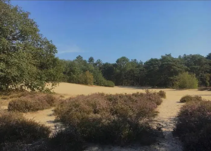 Dom wakacyjny Gasthuys Rooy