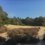 Hébergement de vacances Gasthuys Rooy